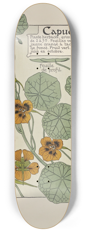 Maurice Pillard Verneuil - Capucine 8.25 inch art skate deck