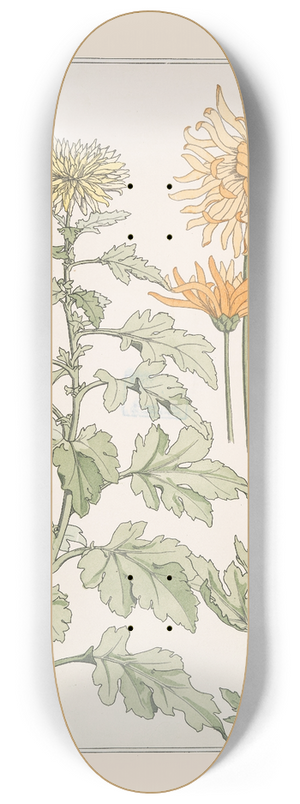 Maurice Pillard Verneuil - Chrysanthme 8.25 inch art skate deck