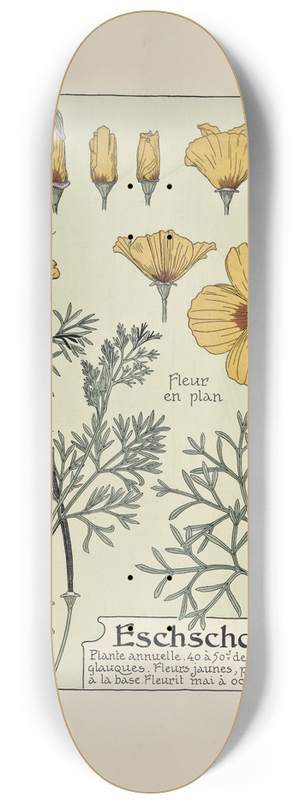Maurice Pillard Verneuil - Eschscholtzia 8.25 inch art skate deck