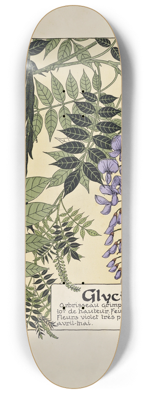 Maurice Pillard Verneuil - Glycine 8.25 inch art skate deck