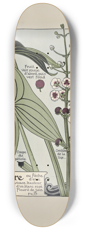 Maurice Pillard Verneuil - Sagittaire 8.25 inch art skate deck