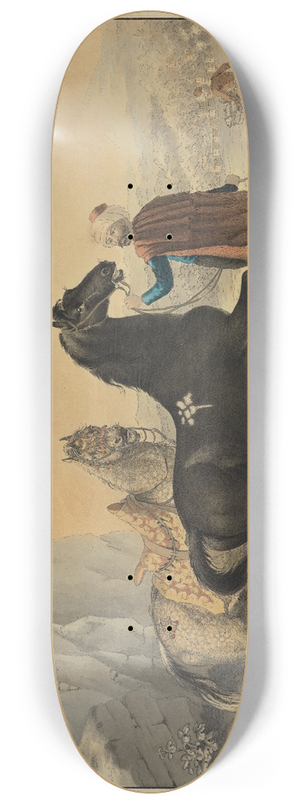 Johann Georg Pforr - Trke mit Rappe und Schimmel 8.25 inch art skate deck