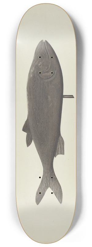 Michael Riccitelli - Fish Weather Vane 8.25 inch art skate deck