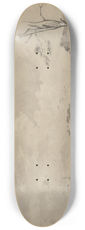 Michel Jean Cazabon - Los Gallos, Icacos Bay 8.25 inch art skate deck