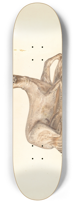 Milton Bevier - Chalkware Deer 8.25 inch art skate deck