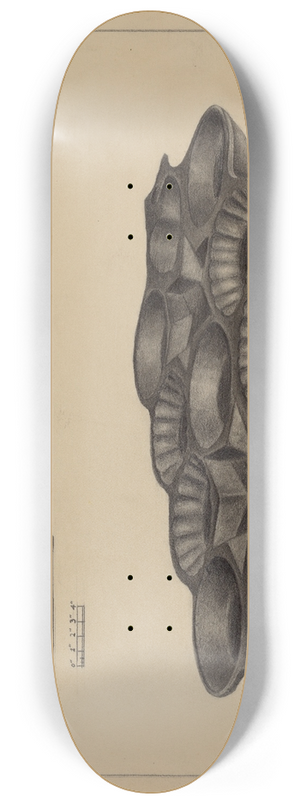 Milton Grubstein - Maple Sugar Mold 8.25 inch art skate deck