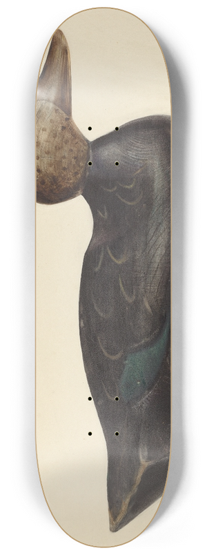 Mina Lowry - Decoy 8.25 inch art skate deck