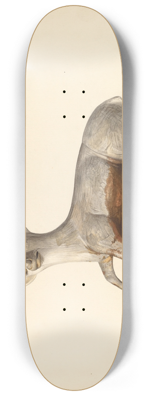 Mina Lowry - Deer Figurine 8.25 inch art skate deck
