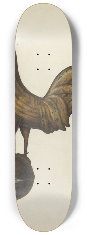 Mina Lowry - Weather Vane  Cock 8.25 inch art skate deck