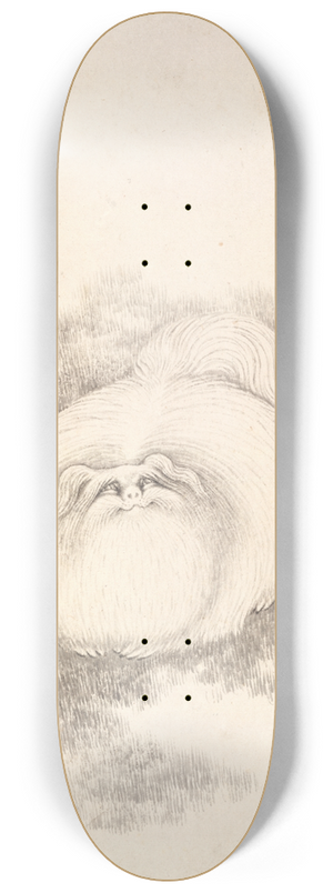 Min Zhen - Cat and Butterfly 8.25 inch art skate deck