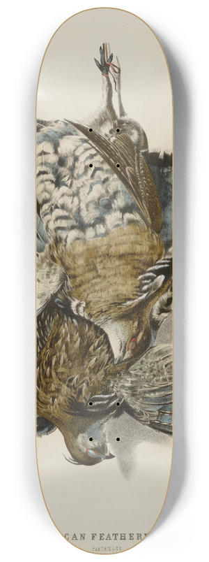 Nathaniel Currier - American Feathered GamePartridges 8.25 inch art skate deck