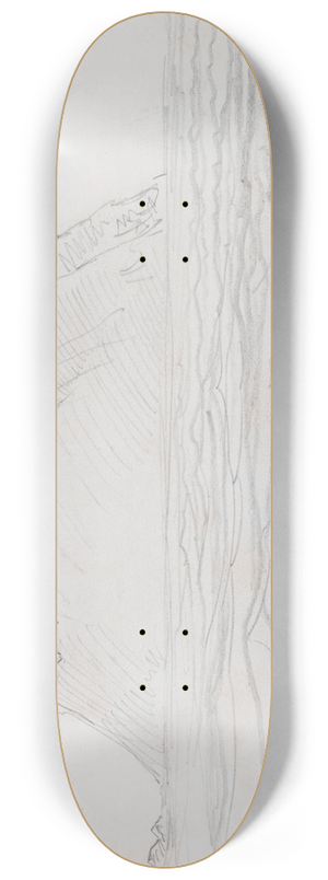 Nicholas Chevalier - Solander Island 8.25 inch art skate deck