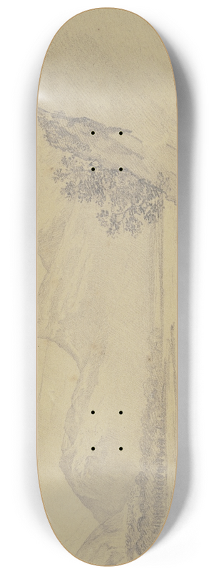 Nikolaus Hoff - Flat landscape 8.25 inch art skate deck