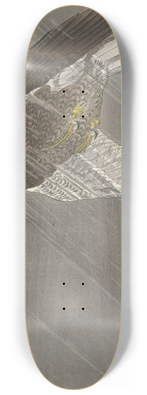 Ohara Koson - Eagle Flying Down 8.25 inch art skate deck