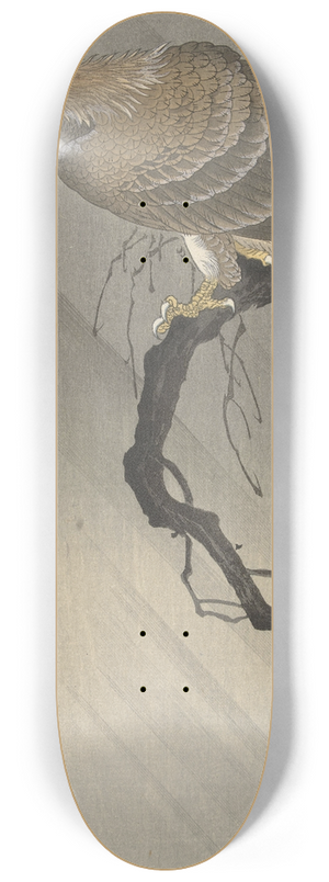 Ohara Koson - Eagle on branch 8.25 inch art skate deck