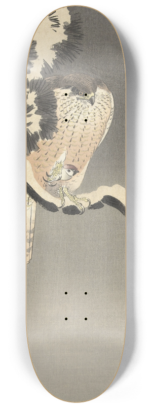 Ohara Koson - Hawk with sparrow 8.25 inch art skate deck