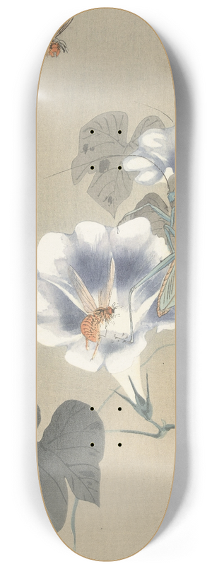 Ohara Koson - Insects at bindweed 8.25 inch art skate deck