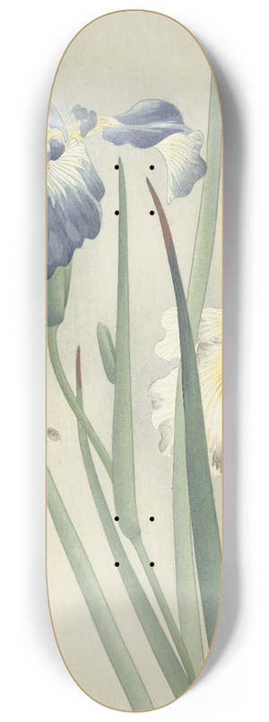 Ohara Koson - Irises 8.25 inch art skate deck