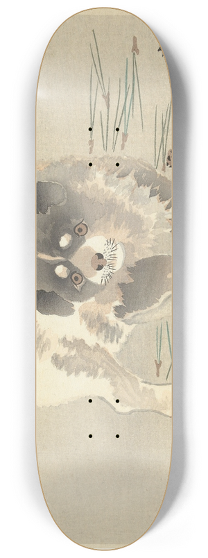 Ohara Koson - Puppy 8.25 inch art skate deck