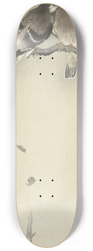 Ohara Koson - Two gray starlings 8.25 inch art skate deck