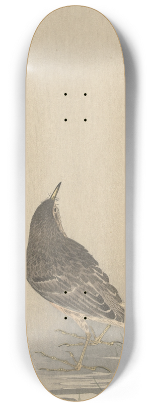 Ohara Koson - Water squeaker 8.25 inch art skate deck