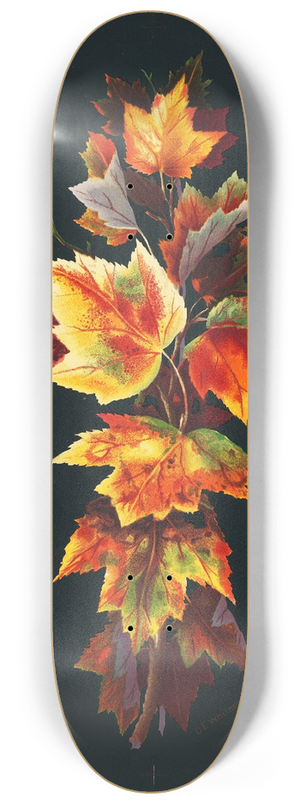 Olive E Whitney - Autumn Leaves 8.25 inch art skate deck