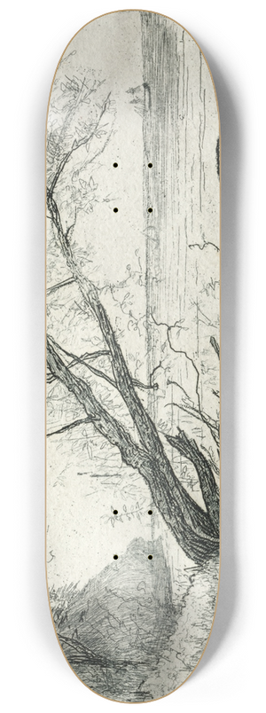 Otto Henry Bacher - Old Sycamore 8.25 inch art skate deck