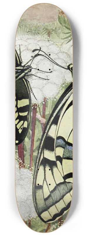 Paul-Andre Robert - Le Machaon 8.25 inch art skate deck