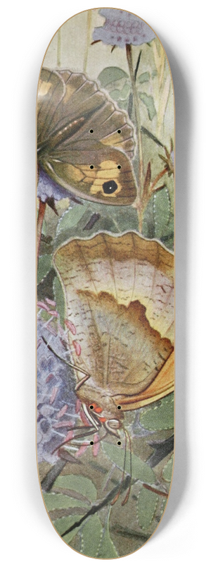 Paul-Andre Robert - Le Myrtil 8.25 inch art skate deck
