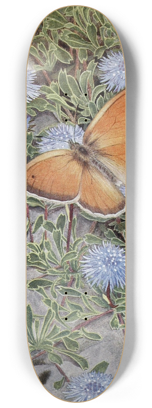 Paul-Andre Robert - Le Procris 8.25 inch art skate deck