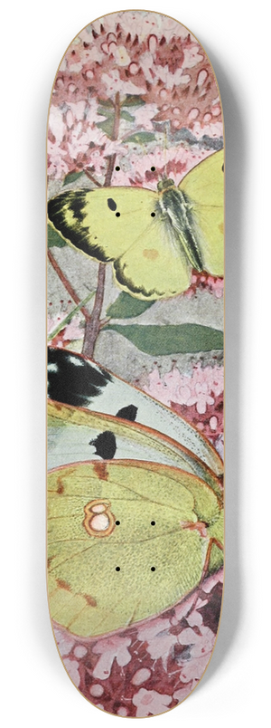 Paul-Andre Robert - Le Soufr 8.25 inch art skate deck