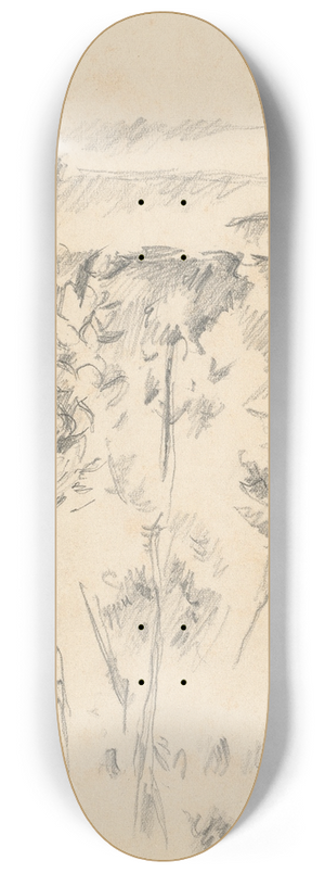 Paul Czanne - Trees and Shrubs 8.25 inch art skate deck