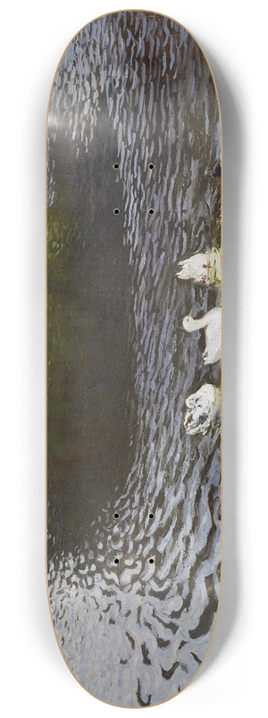 Johann Walter-Kurau - Ducks 8.25 inch art skate deck