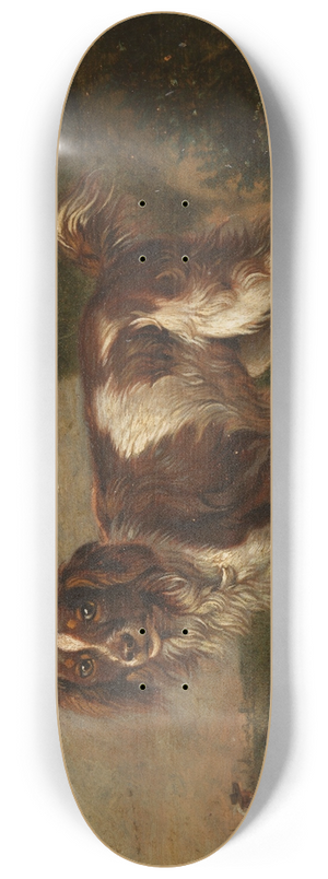 Paulus Potter - A spaniel 8.25 inch art skate deck