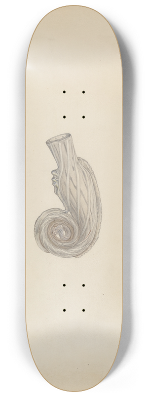 Paul Ward - Scent Bottle 8.25 inch art skate deck