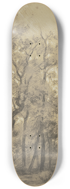 Peter Burnitz - Oak forest 8.25 inch art skate deck