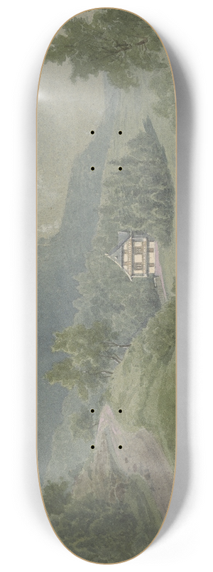 Peter Burnitz - Section of the Odenwald 8.25 inch art skate deck