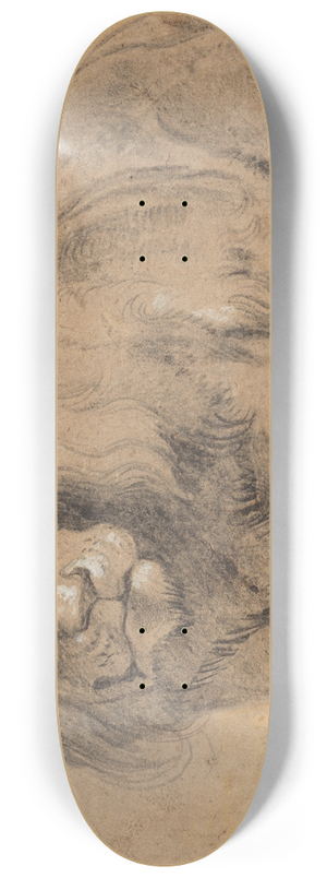 Peter Paul Rubens - Lion 8.25 inch art skate deck