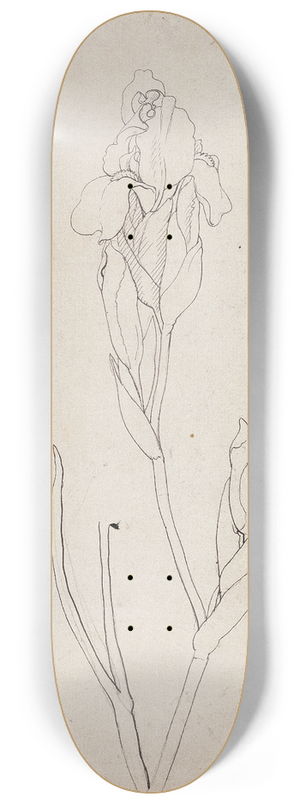 Philipp Otto Runge - Iris 8.25 inch art skate deck