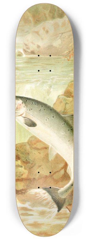 Pierre Jacques Smit - A Salmon Leap 8.25 inch art skate deck