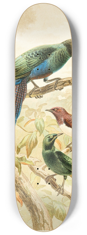 Pierre Jacques Smit - Glossy Starlings 8.25 inch art skate deck