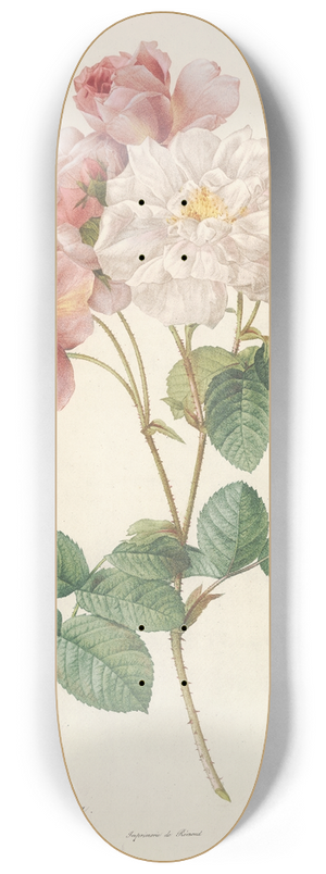 Pierre Joseph Redout - Rosa Damascena 8.25 inch art skate deck