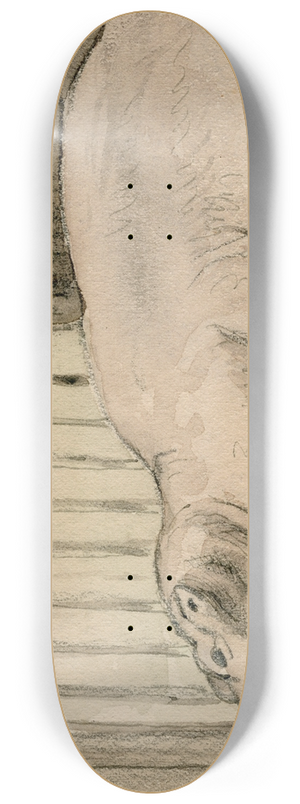 Pieter van Loon - Het nijlpaard in de Engelse dierentuin 8.25 inch art skate deck
