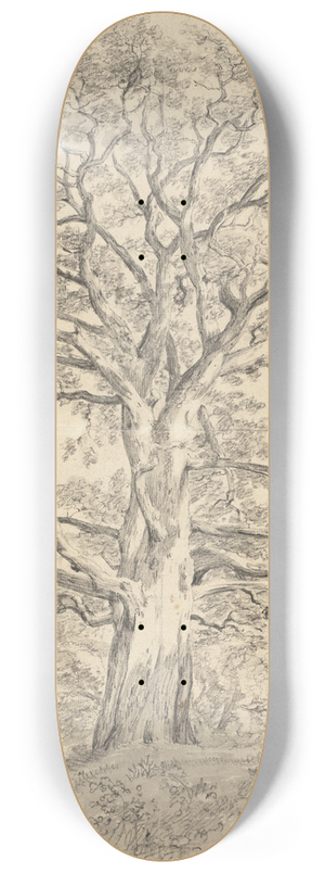 John Constable - A Great Oak Tree 8.25 inch art skate deck