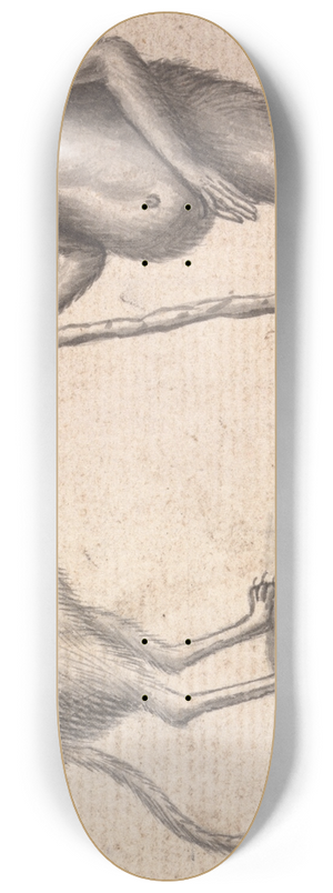 Richard Brookes - Monkey 8.25 inch art skate deck