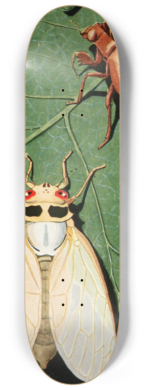 Robert Evans Snodgrass - Cicada 8.25 inch art skate deck