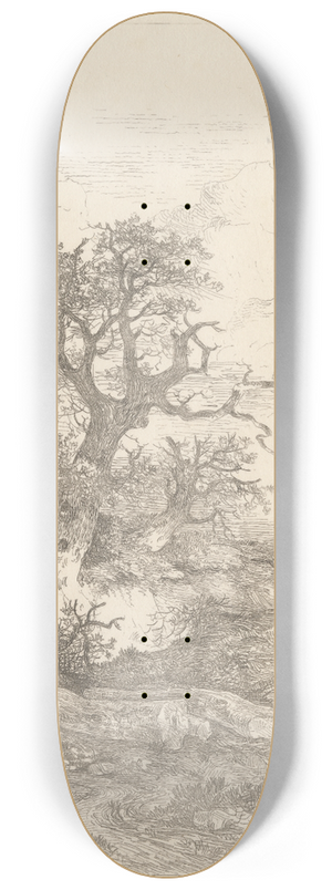 John Crome - Landscape with Oak Trees 8.25 inch art skate deck