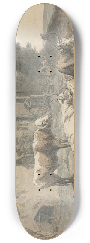 Robert Hills - Long-Horned Cattle 8.25 inch art skate deck