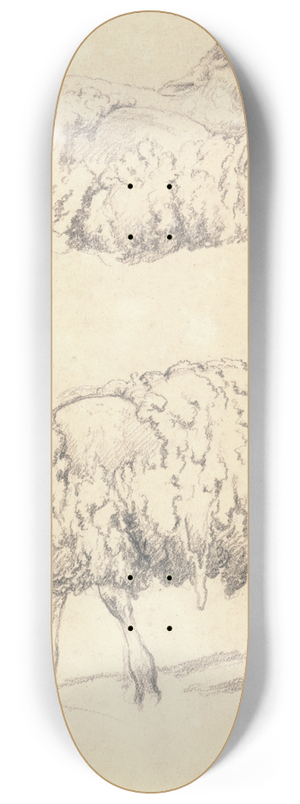 Robert Hills - The Shearing 8.25 inch art skate deck