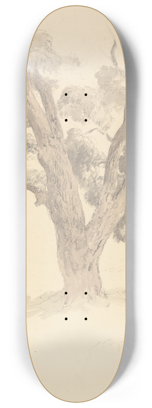 Robert Hills - Walnut Tree 8.25 inch art skate deck
